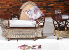 熱帶珍果紅毛丹 食用指南與營養美容價值